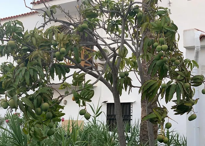 Ocean Paradise Апартаменты Адехе