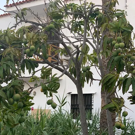 Ocean Paradise Apartment Costa Adeje (Tenerife)